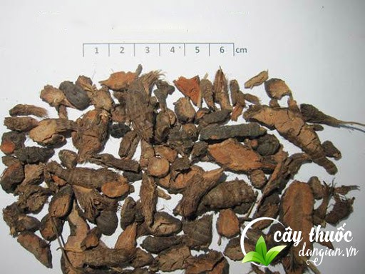 Tác dụng của hương phụ